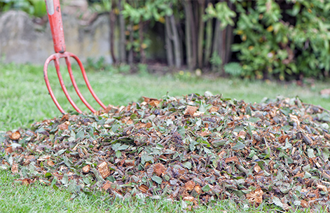 Déchets verts : comment s’en débarrasser ?